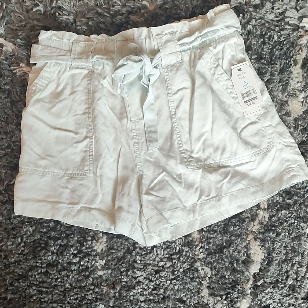 Time and Tru Light Blue Women's Cargo Shorts